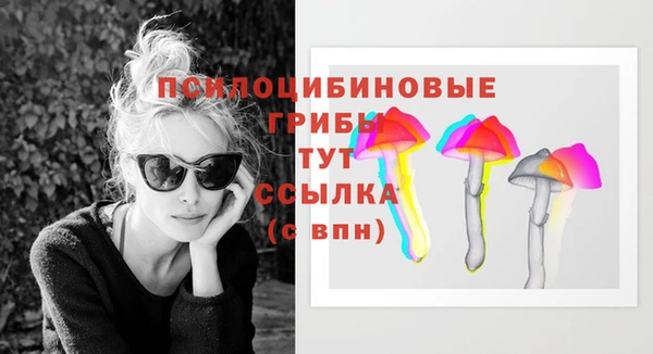 ГАЛЛЮЦИНОГЕННЫЕ ГРИБЫ Баксан