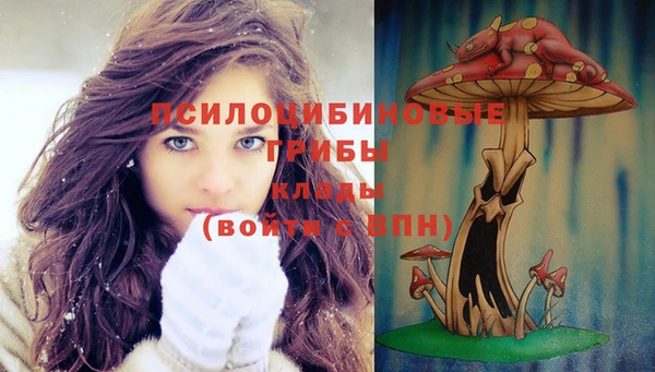 спиды Белокуриха